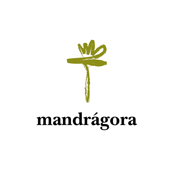 Mandrágora