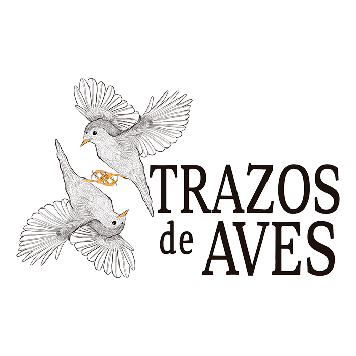 Trazos de Aves
