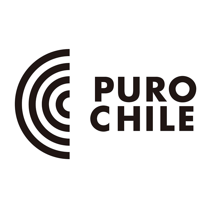 Ediciones Puro Chile